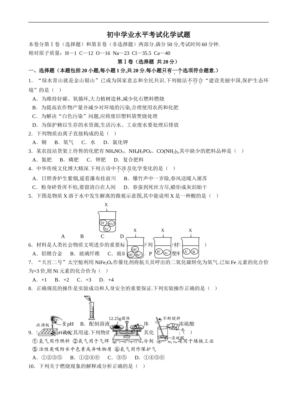 考试试题---初中学业水平考试化学试题_第1页