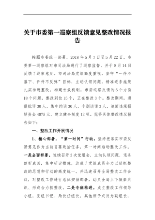 关于市委第一巡察组反馈意见整改情况报告_转换
