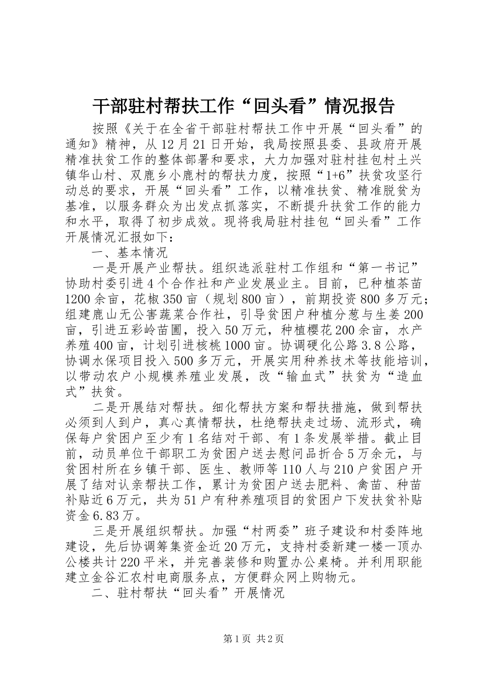 2024年干部驻村帮扶工作回头看情况报告_第1页