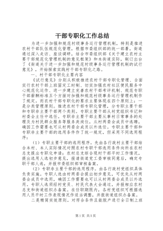 2024年干部专职化工作总结