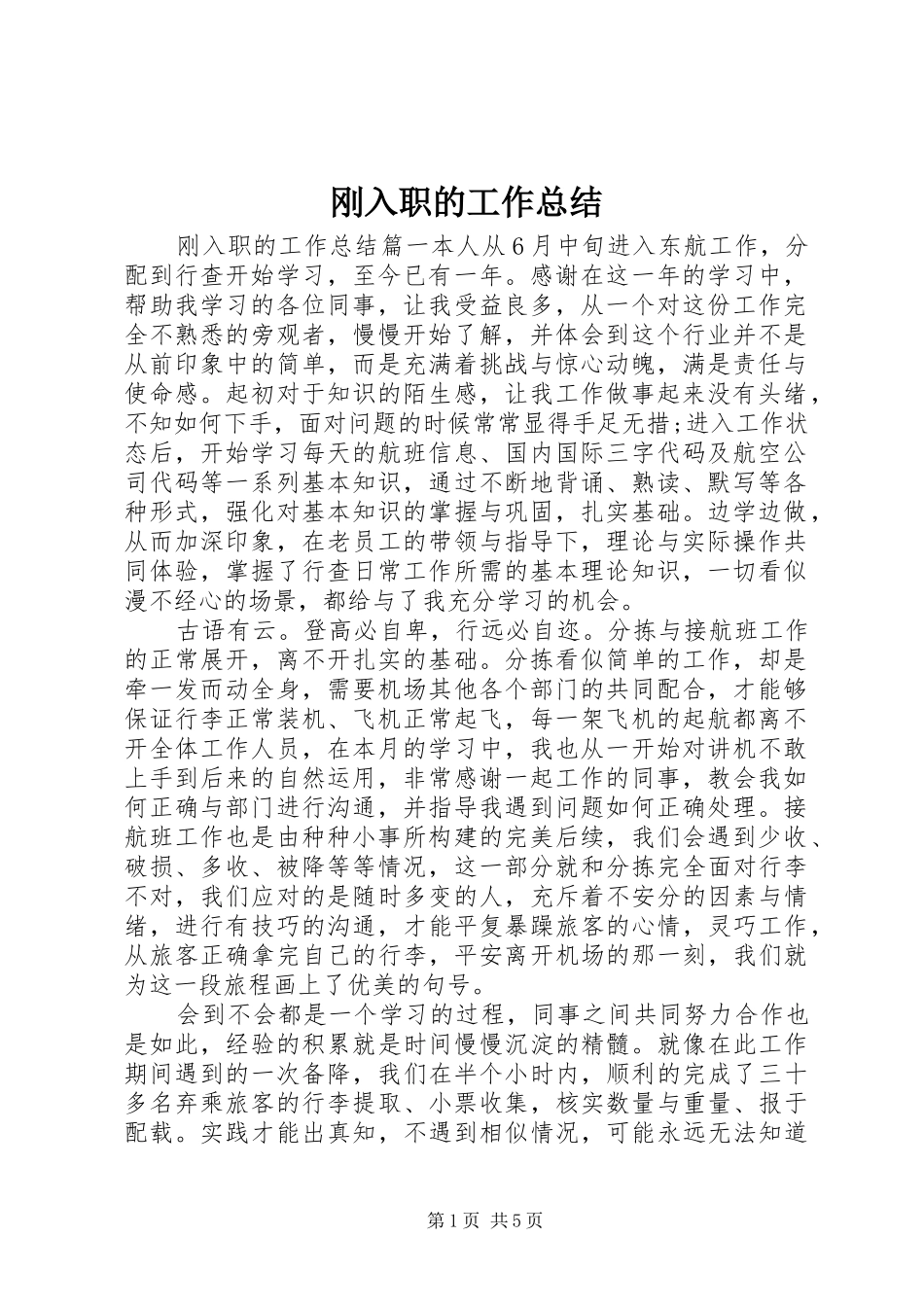 2024年刚入职的工作总结_第1页