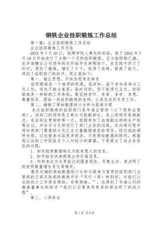 2024年钢铁企业挂职锻炼工作总结