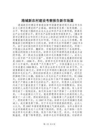 2024年港城新农村建设考察报告新市场篇