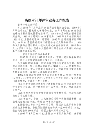 2024年高级审计师评审业务工作报告