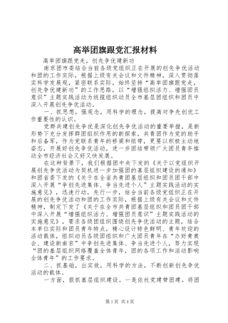 2024年高举团旗跟党汇报材料