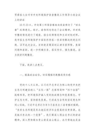 贾君在七台河市中央环境保护督查整改工作领导小组会议上的讲话