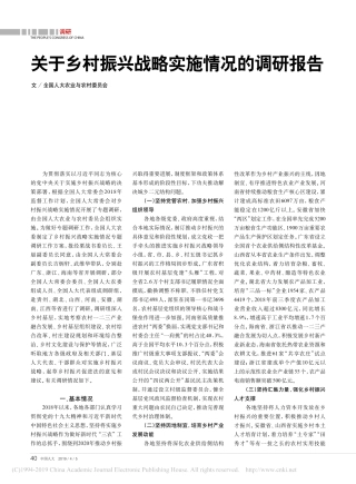 关于乡村振兴战略实施情况的调研报告