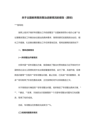 关于主题教育整改整治进展情况的报告（原创） 