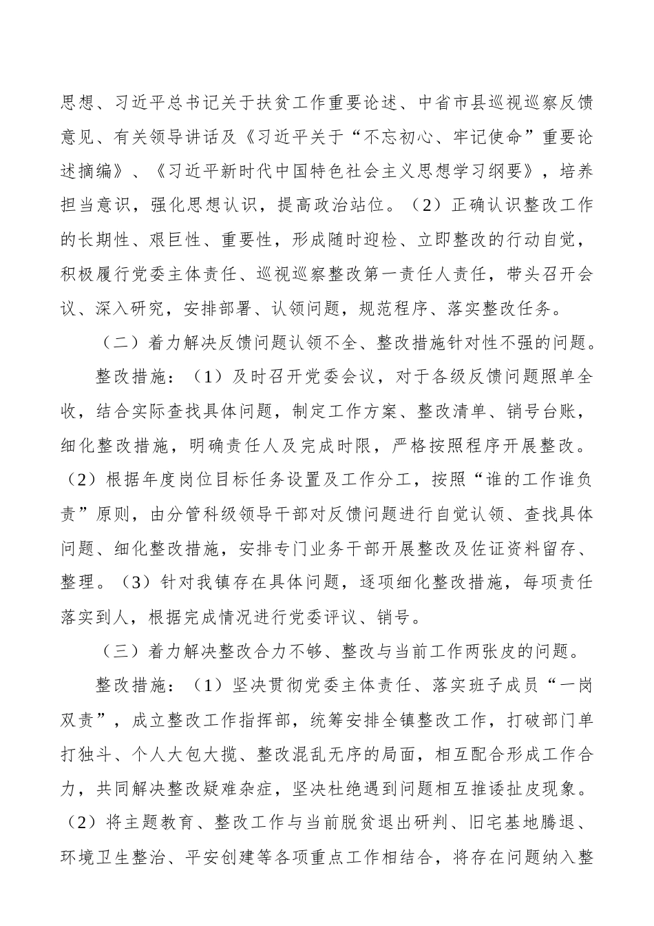 关于专项整治巡视巡察存在问题整改工作方案 (3)_第2页
