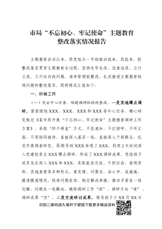 某市局主题教育整改落实情况报告