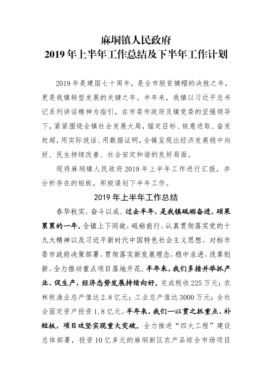 麻垌镇人民政府年上半年工作总结及下半年工作计划终极版_第1页