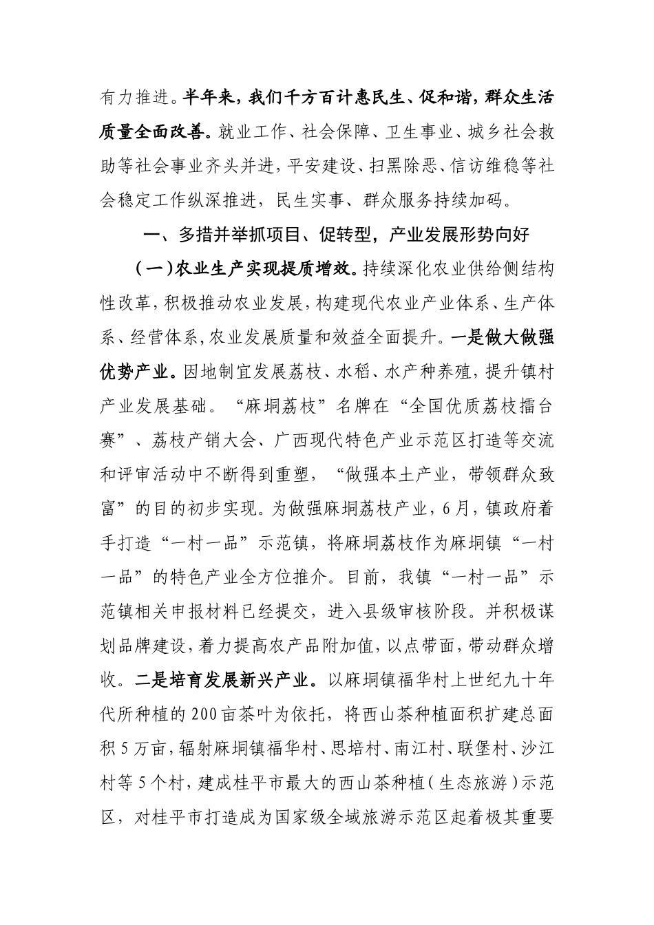 麻垌镇人民政府年上半年工作总结及下半年工作计划终极版_第2页