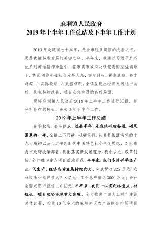 麻垌镇人民政府年上半年工作总结及下半年工作计划终极版