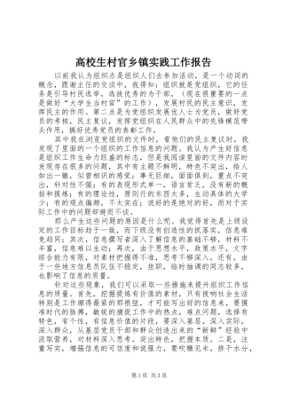 2024年高校生村官乡镇实践工作报告