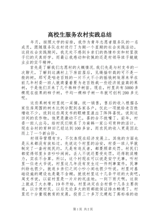 2024年高校生服务农村实践总结