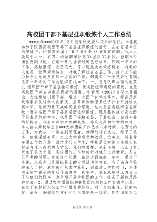 2024年高校团干部下基层挂职锻炼个人工作总结