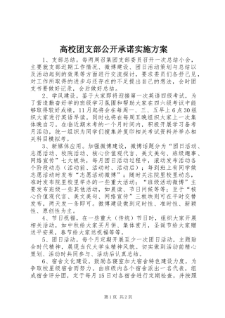 2024年高校团支部公开承诺实施方案