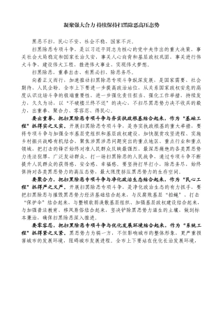 凝聚强大合力 持续保持扫黑除恶高压态势