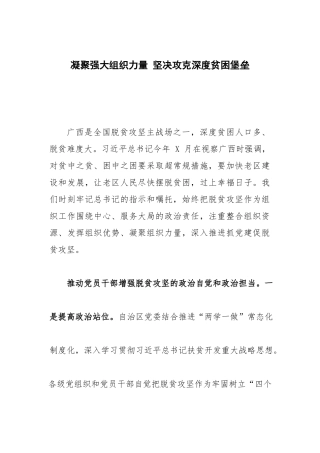 凝聚强大组织力量 坚决攻克深度贫困堡垒