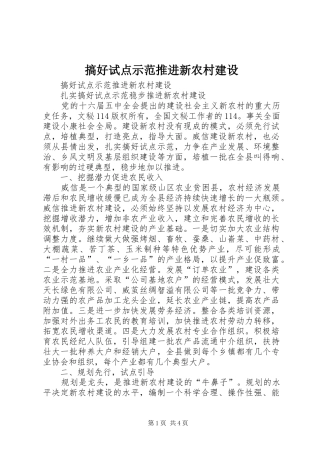 2024年搞好试点示范推进新农村建设