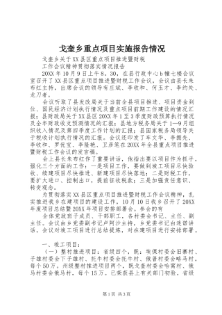 2024年戈奎乡重点项目实施报告情况