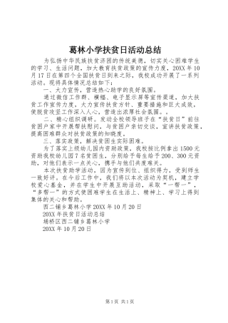 2024年葛林小学扶贫日活动总结