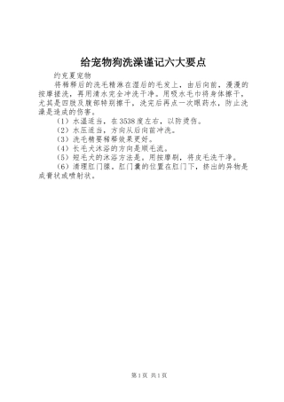2024年给宠物狗洗澡谨记六大要点