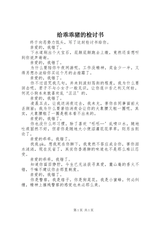 2024年给乖乖猪的检讨书