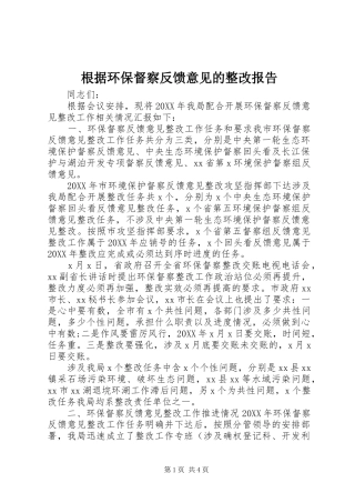 2024年根据环保督察反馈意见的整改报告
