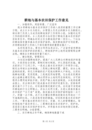 2024年耕地与基本农田保护工作意见