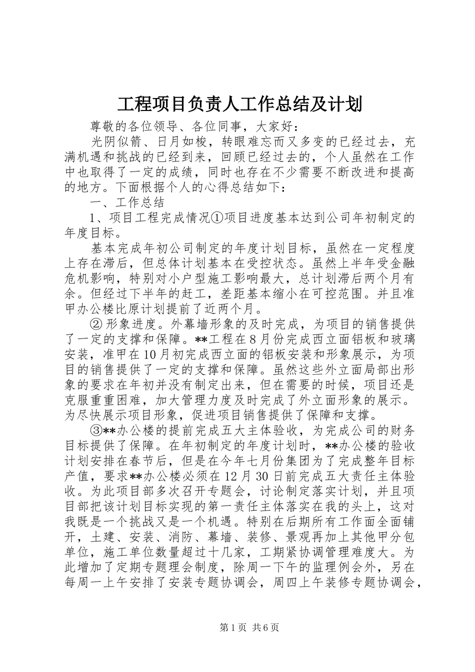 2024年工程项目负责人工作总结及计划_第1页