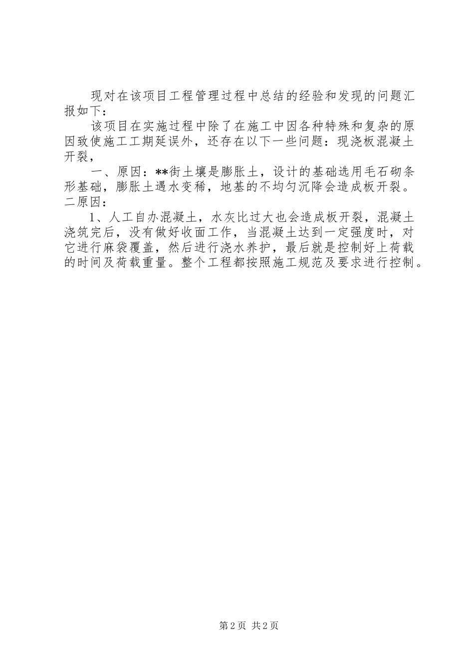2024年工程项目工作总结_第2页