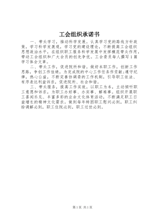 2024年工会组织承诺书