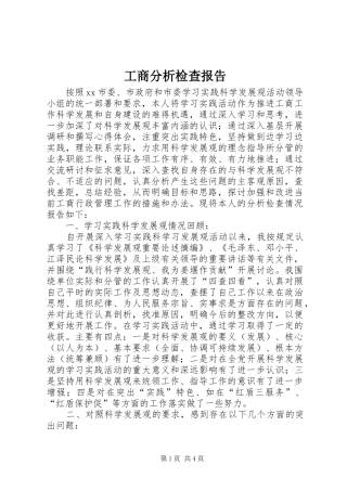 2024年工商分析检查报告