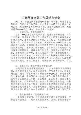 2024年工商稽查支队工作总结与计划