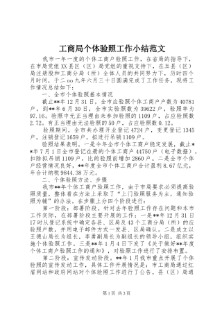 2024年工商局个体验照工作小结范文