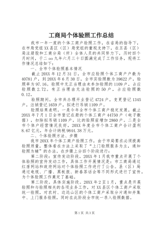 2024年工商局个体验照工作总结