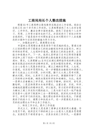 2024年工商局局长个人整改措施