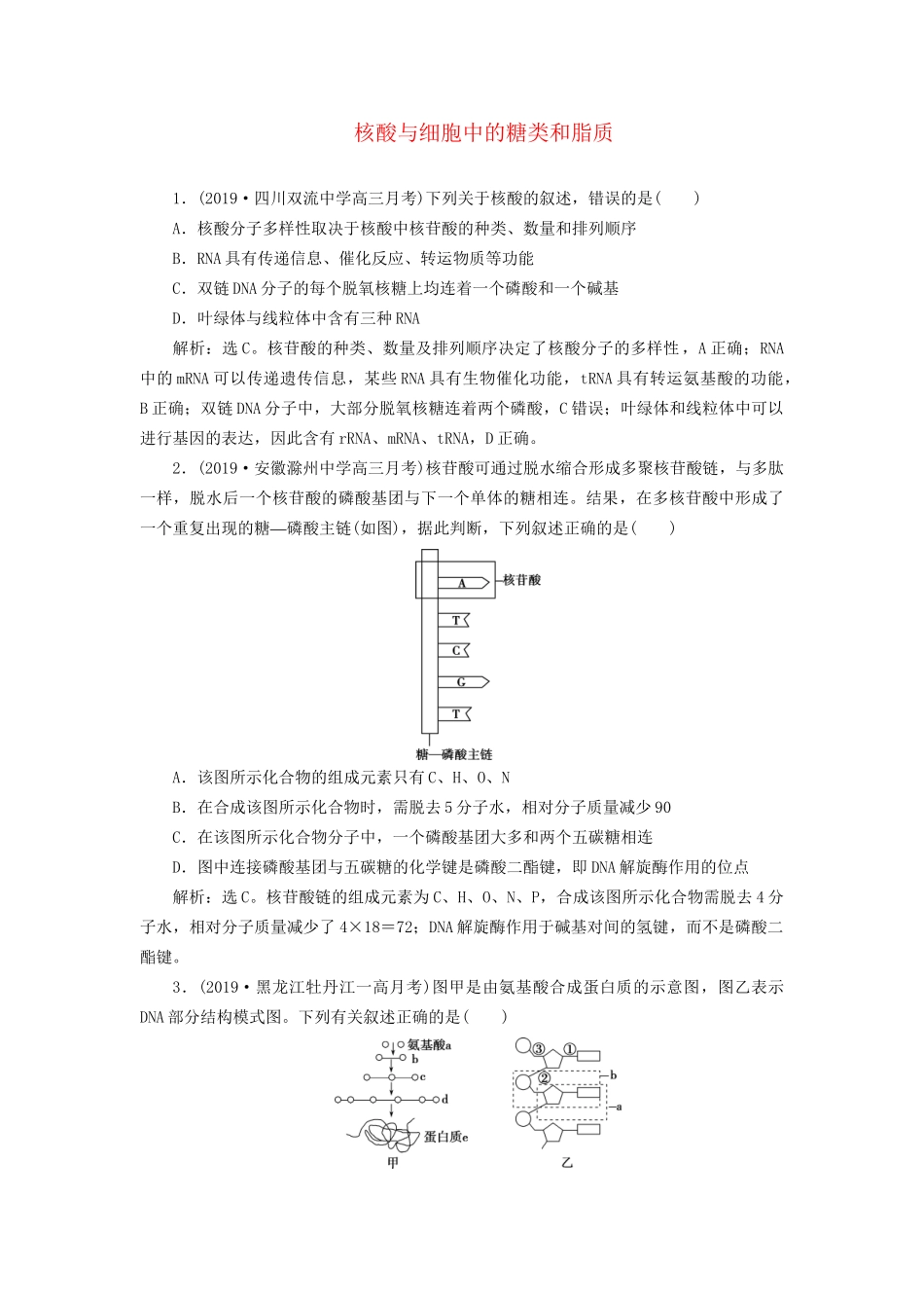 高考生物新探究大一轮复习 第4讲 核酸与细胞中的糖类和脂质检测（含解析）-人教版高三全册生物试题_第1页