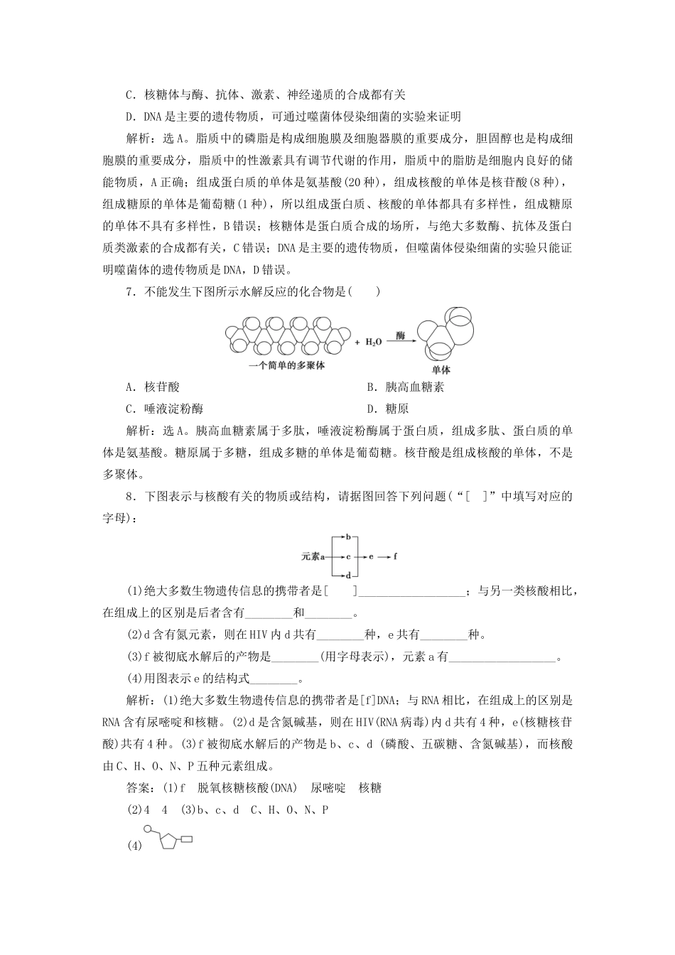 高考生物新探究大一轮复习 第4讲 核酸与细胞中的糖类和脂质检测（含解析）-人教版高三全册生物试题_第3页
