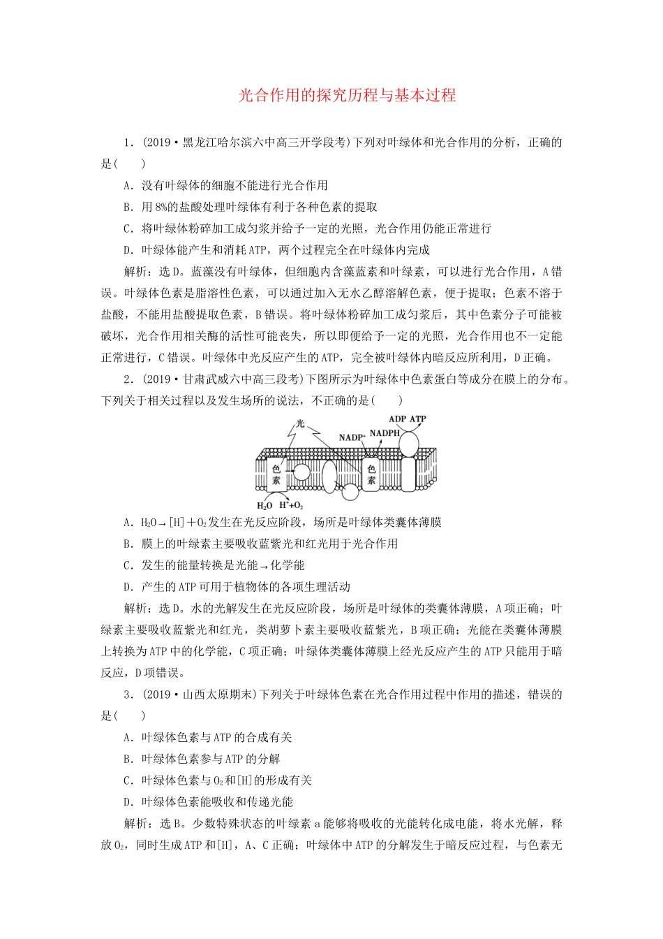 高考生物新探究大一轮复习 第10讲 光合作用的探究历程与基本过程检测（含解析）-人教版高三全册生物试题_第1页