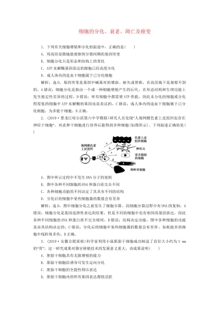高考生物新探究大一轮复习 第14讲 细胞的分化、衰老、凋亡及癌变检测（含解析）-人教版高三全册生物试题