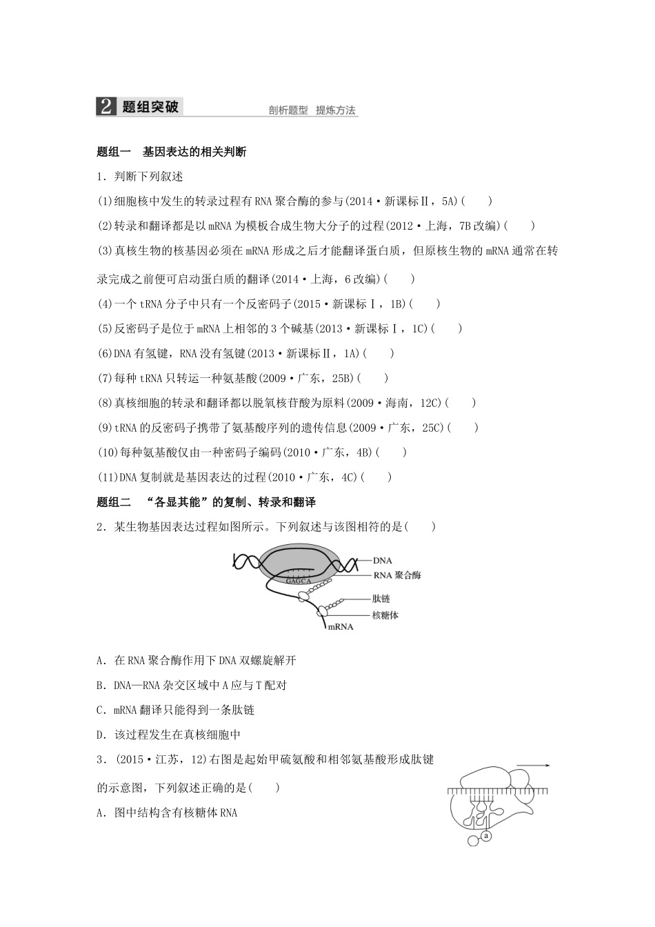 高考生物大二轮总复习 增分策略 专题四 必考点12“解码奥秘”的基因表达试题-人教版高三全册生物试题_第2页