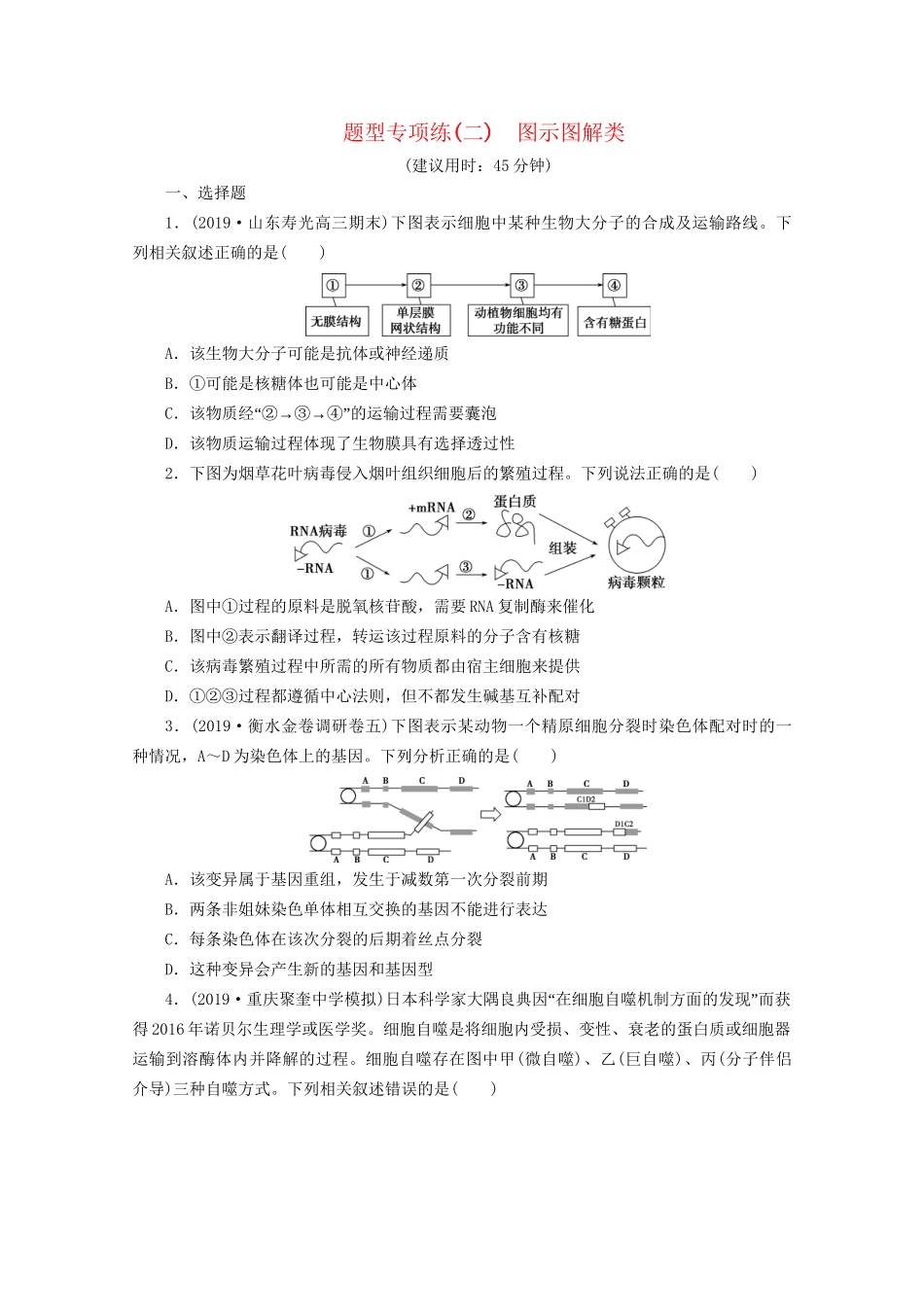 新高考生物三轮复习 题型专项练（二）图示图解类（含解析）试题_第1页
