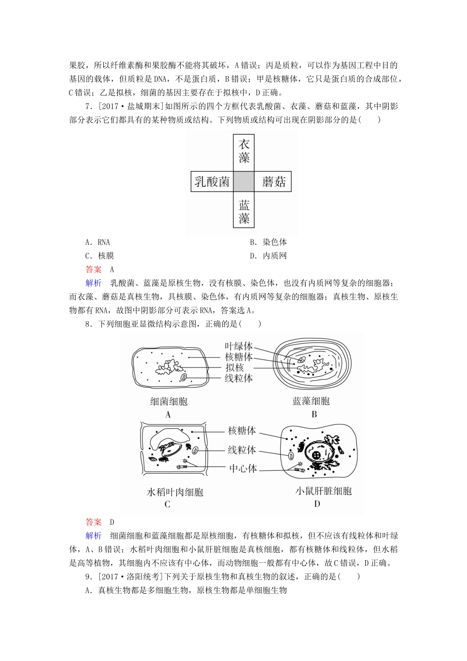 高考生物一轮复习 第1讲 走近细胞限时规范特训试题_第3页