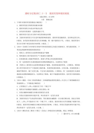 高考生物一轮复习 第7单元 生物的变异、育种和进化 课时分层集训21 基因突变和基因重组试题