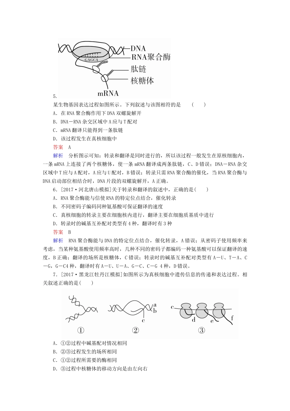高考生物一轮复习 第21讲 基因的表达限时规范特训试题_第3页