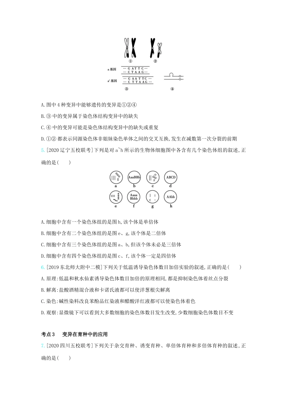 高考生物一轮复习 第六单元 变异、育种与进化 专题十四 生物的变异与育种精练（含解析）试题_第2页