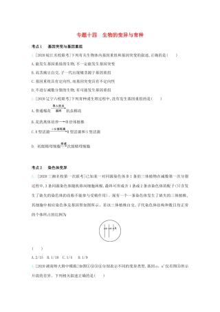 高考生物一轮复习 第六单元 变异、育种与进化 专题十四 生物的变异与育种精练（含解析）试题