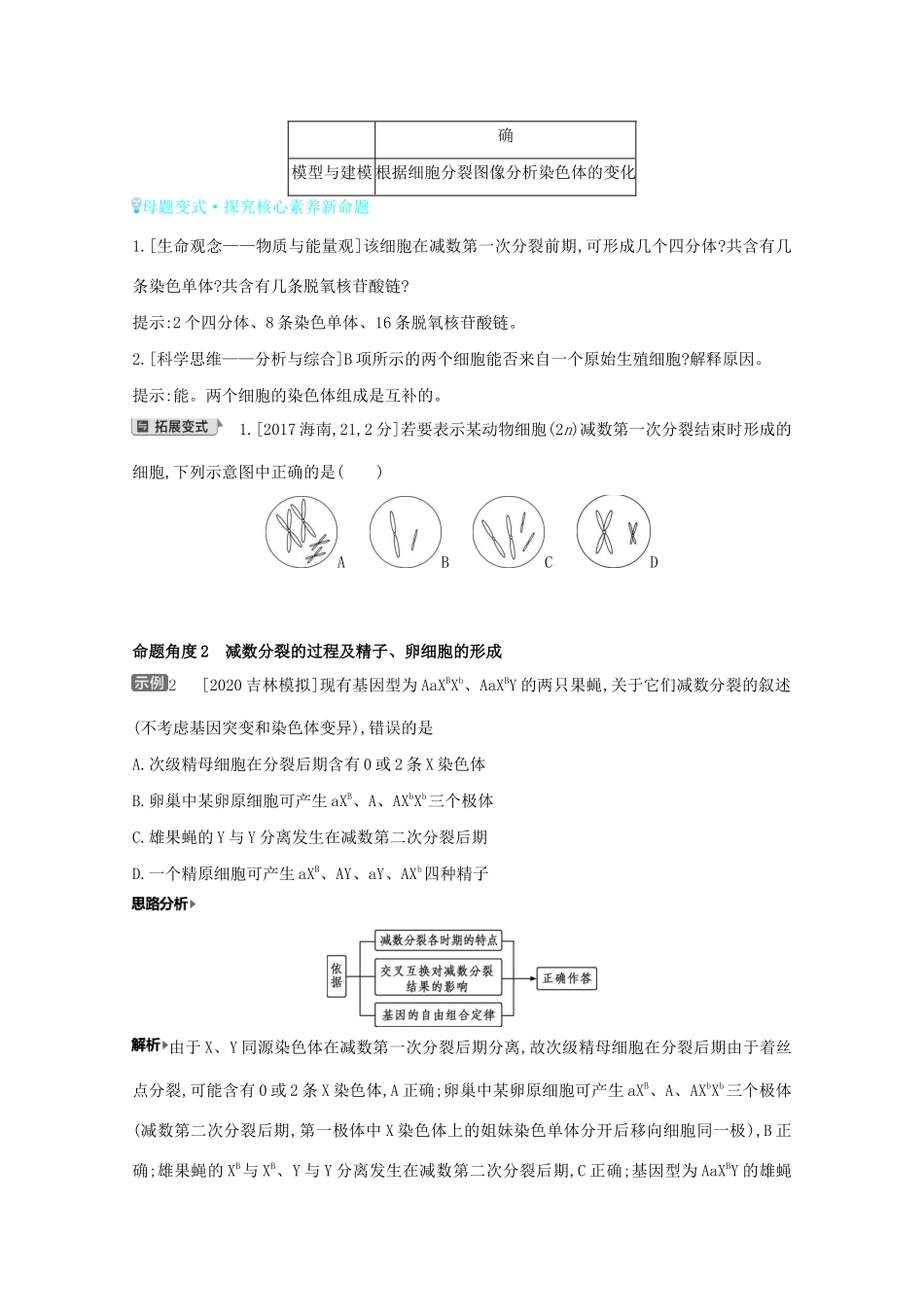 高考生物一轮复习 第四单元 遗传的细胞基础和分子基础 专题九 遗传的细胞基础备考练（含解析）试题_第3页